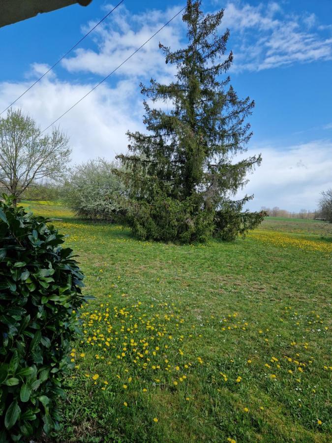Maison Cassin47 Lavergne  Eksteriør bilde